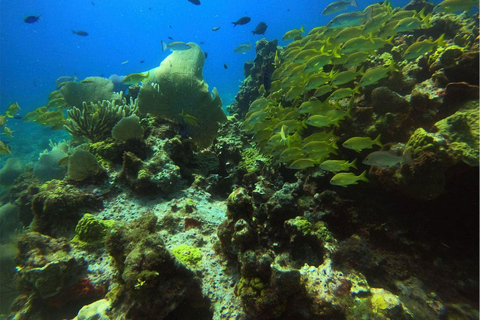 Cancun: Pierwsze nurkowanie z 2 zbiornikami