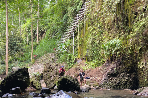 特特巴图：瀑布、香料、梯田、猴子森林特特巴图之旅、香料、瀑布、梯田、猴林