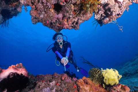 Padang Bai: Beginner Scuba with Underwater Photos & Video
