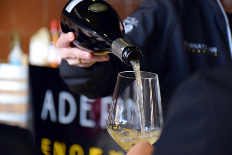 Tarragona: Wine Cathedral Tour Wine, Cava and Food Tasting