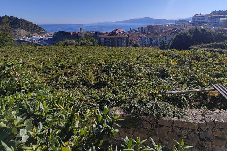 San Sebastian: Private Txakoli bodega (Hondarribia/Getaria)