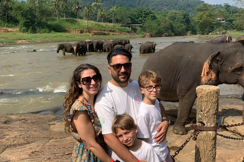 Sacred Highlands: South to All-Inclusive Kandy Full Day Trip