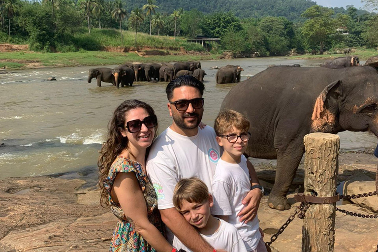 Sacred Highlands: South to All-Inclusive Kandy Full Day Trip