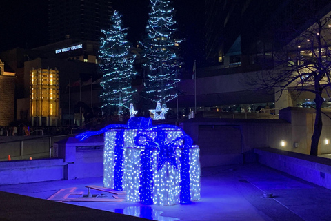 Calgary All Is Bright; Sparkle & Lights Christmas Tour