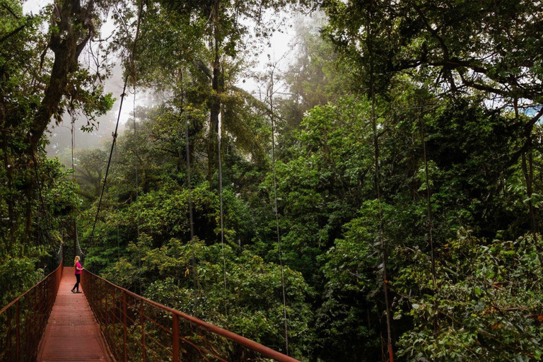 Monteverde: Aventura en el dosel del Bosque Nuboso de Monteverde