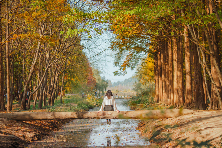 Depuis Busan : visite en petit groupe à Gyeongju (Max 7 Pax)