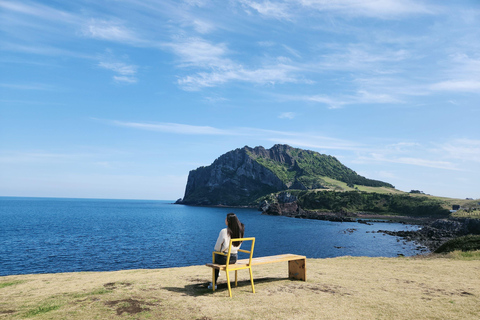 Da cidade de Jeju: Excursão de um dia ao leste de Jeju Cherry Blossom de van