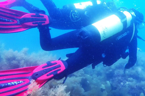 My first scuba dive into the Ocean from Sao Miguel