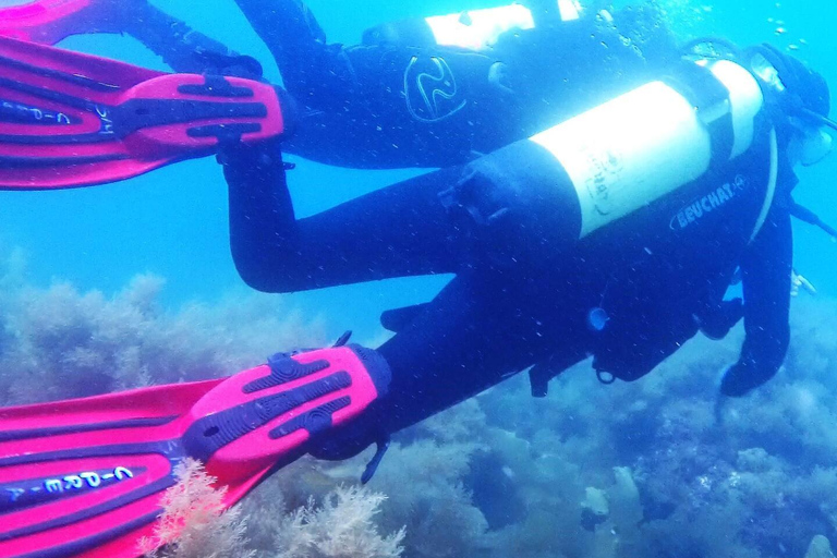 My first scuba dive into the Ocean from Sao Miguel