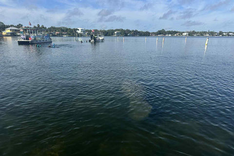 Three Sisters Clear Kayak and Snorkeling Manatee Tour