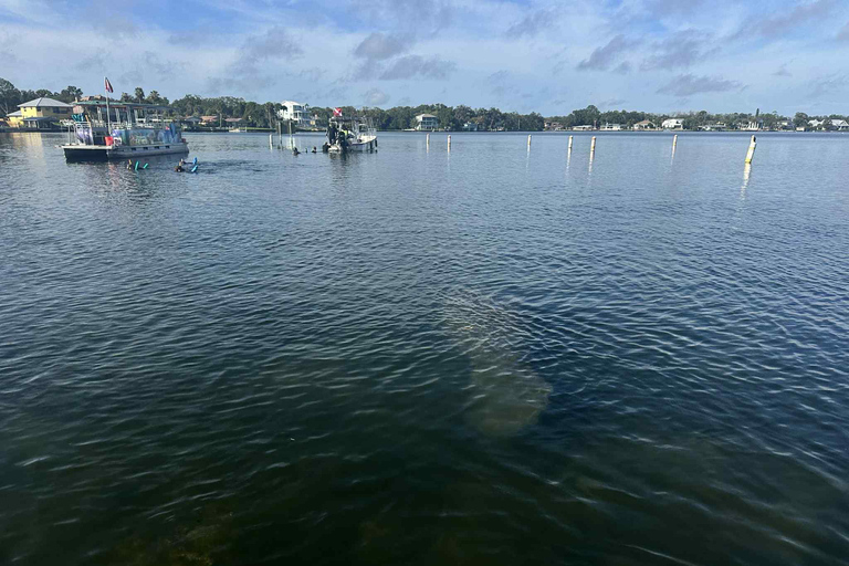Three Sisters Clear Kayak and Snorkeling Manatee Tour