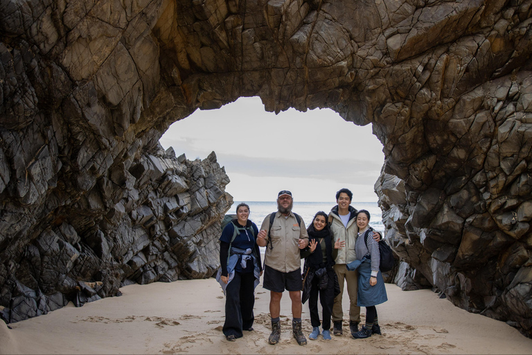 Desde Hobart: excursión de día completo a la naturaleza y los productos de Bruny Island