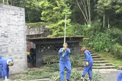 Chengdu: 4-Day Wolong In-Depth Panda Tour