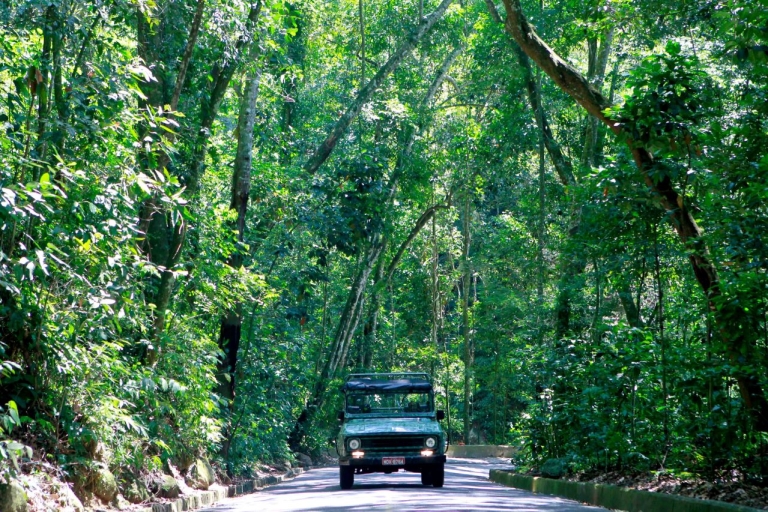 Rio: Jeep-Tour zum Botanischen Garten und Tijuca-WaldJeep Tour Botanischer Garten & Tijuca Wald