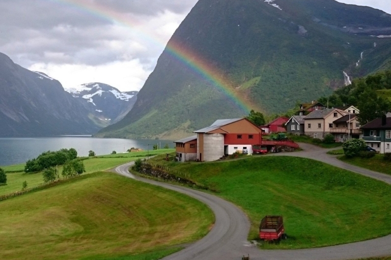 Au départ de Vik : Excursion guidée dans les fjords et les glaciers du Fjærland