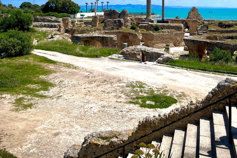 Tunis: Medina, Carthage, & Sidi Bou Said Private Tour Pick-up From: Sousse, or Monastir