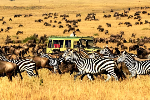 Zanzíbar : Safari en avión de 3 días por el Serengeti y el Ngorongoro