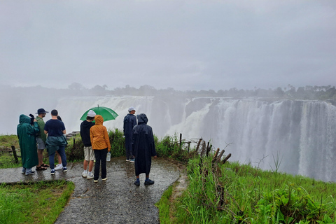 Visite guidée des chutes Victoria