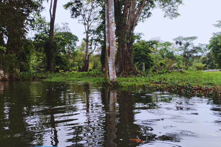 Private Kayaking Adventure: a 2-hour Wildlife Escape Self-Guided Kayaking Adventure: a 2-hour Wildlife Escape