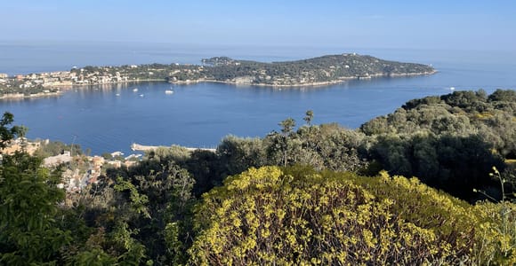 Von Nizza aus: Private Monaco und Küste Highlights Autotour