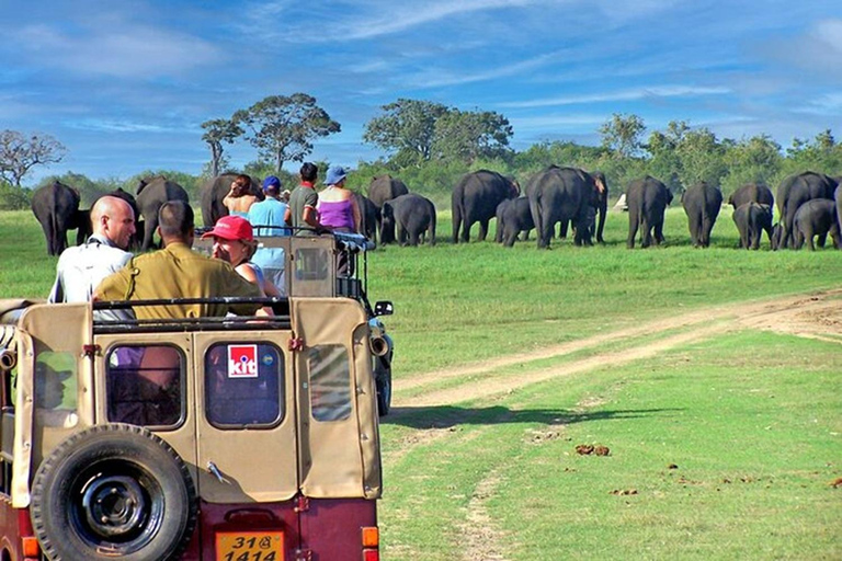 From Anuradhapura To Sigiriya Transfer with Sightseeing Stop