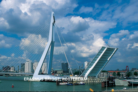 Visite à pied et en bateau de Rotterdam et de Kinderdijk (journée)