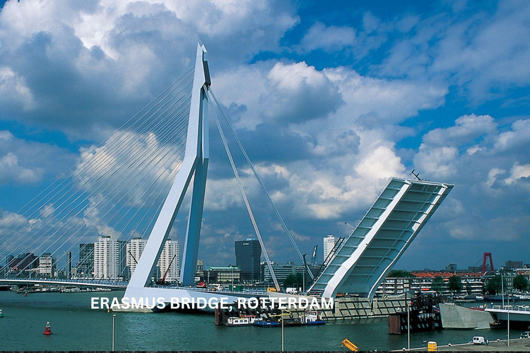 Rotterdam en Kinderdijk Dagelijkse Wandeltour en Rondvaart