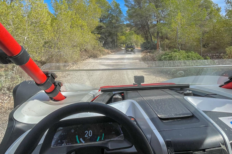 Albir: Tour in buggy off-road