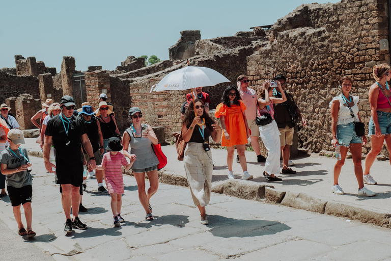 Från Rom: Pompeji och Herculaneum med höghastighetståg