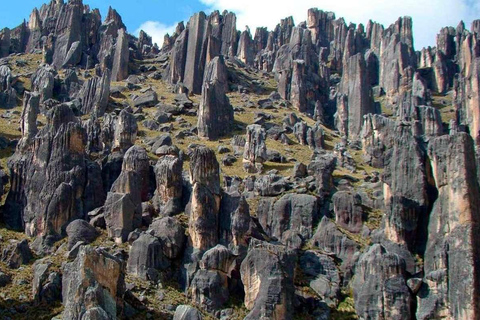 Full Day Pillones Waterfall and Rock Forest