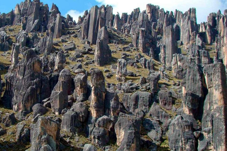 Full Day Pillones Waterfall and Rock Forest