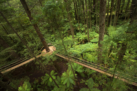 Tour em pequenos grupos de Auckland a Rotorua e itens extras de atividadesExcursão a Rotorua com caminhada pelas sequoias e entrada no Polynesian Spa