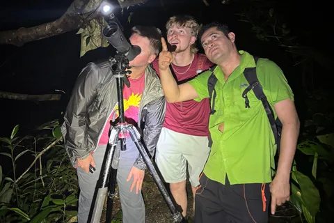 La Fortuna: Night Jungle Walk with Expert Guide