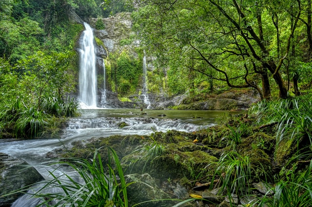 Daintree waters tour, all terrain vehicles and light lunch.