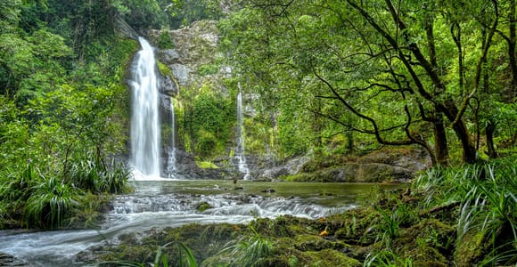 Daintree waters tour, all-terrain vehicles and light lunch.