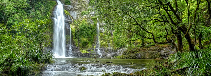Visite des eaux de Daintree, véhicules tout-terrain et déjeuner léger.