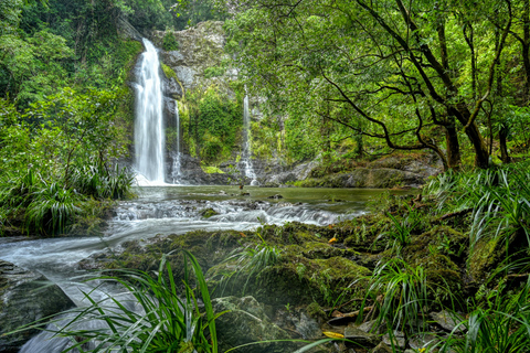 Daintree waters tour, all terrain vehicles and light lunch.
