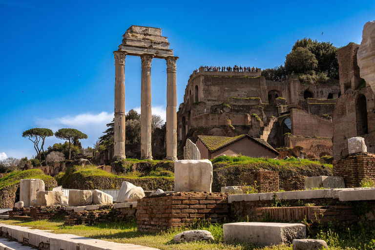 Rome: Colosseum, Forum & Palatine Hill Guided Tour 7 People