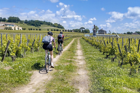 From Bordeaux to Saint Emilion by gravel bike - wine tasting