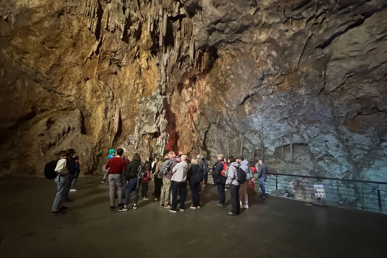 قم بزيارة كهوف كانيلوبري ومتحف الموسيقى العرقية في بوسوت من أليكانتي