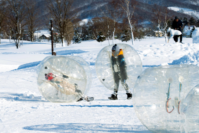 Hokkaido tour❘Otaru,ShiroiKoibito Park,SnowLand from Sapporo Sapporo TV Tower Departure B Otaru Aquarium