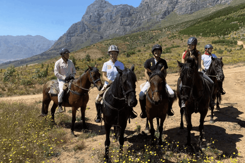 Vrede en Lust Wine Estate:1-Hour Horseback Riding Experience