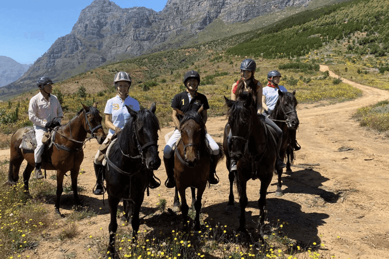 Vrede en Lust Wine Estate:1-Hour Horseback Riding Experience