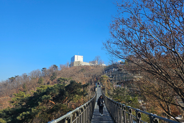 Seoul: Closest DMZ Observatory with North Korea View (1.4km) Group Tour with Myeongdong Subway Station Meeting Point