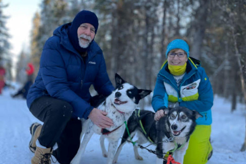 Levi: 5 Km Husky Sledding Ride in Levi