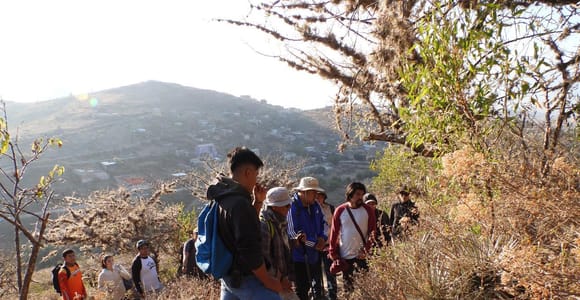 25 Min. from Oaxaca: A Scenic Hike Above the Central Valleys