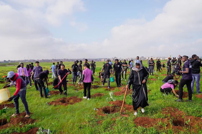 Nairobi: Tree Planting Experience with Hotel Pickup