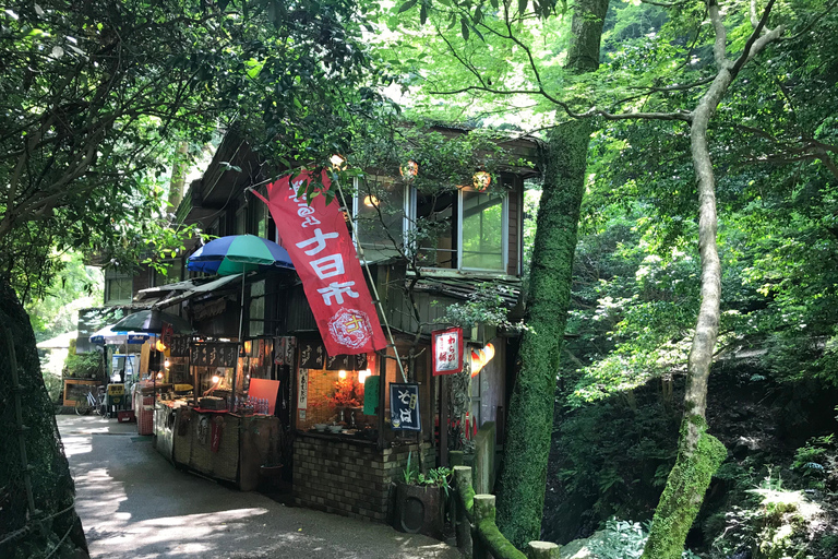 Marche dans la forêt de Mino à Osaka et chute d&#039;eau géante avec déjeuner local