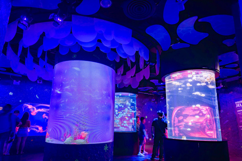 Bangkok: biglietto d'ingresso al SEA LIFE Bangkok Ocean WorldPrenotazione anticipata per date fuori stagione