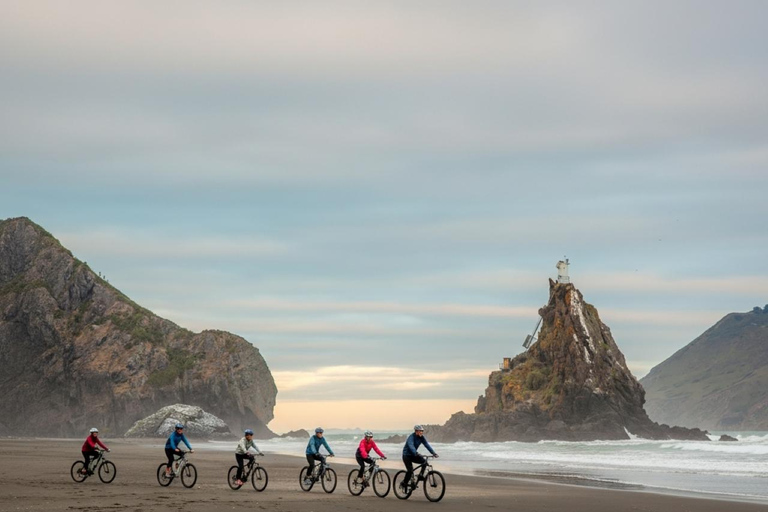 Auckland: Westcoast Black Sand Fatbike Tour Private Tour with Transport